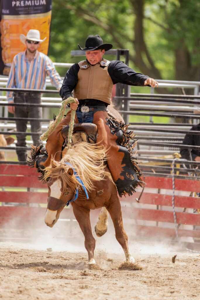 Brown horse bucking wildly during saddle bronc riding rodeo event