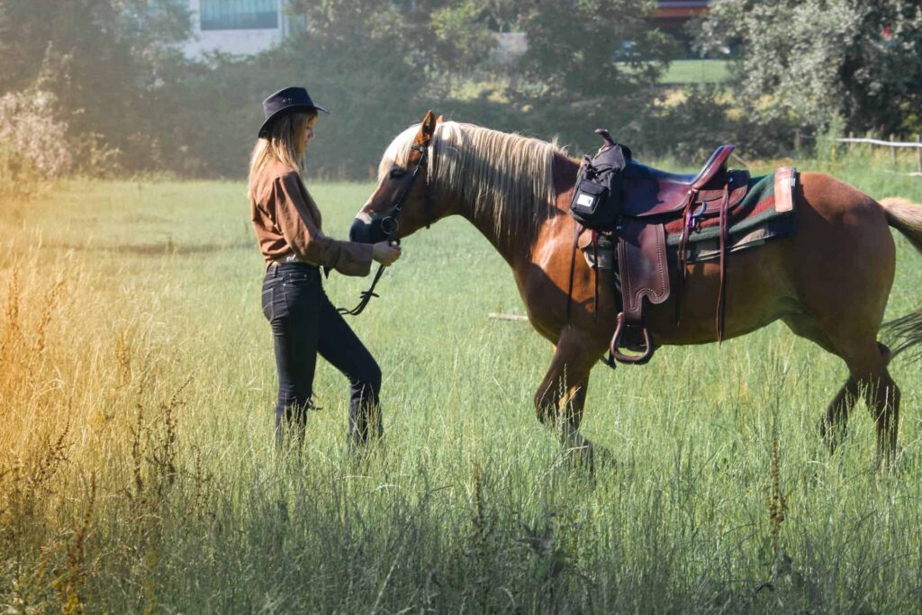 Woman starting groundwork with saddled brown horse in field