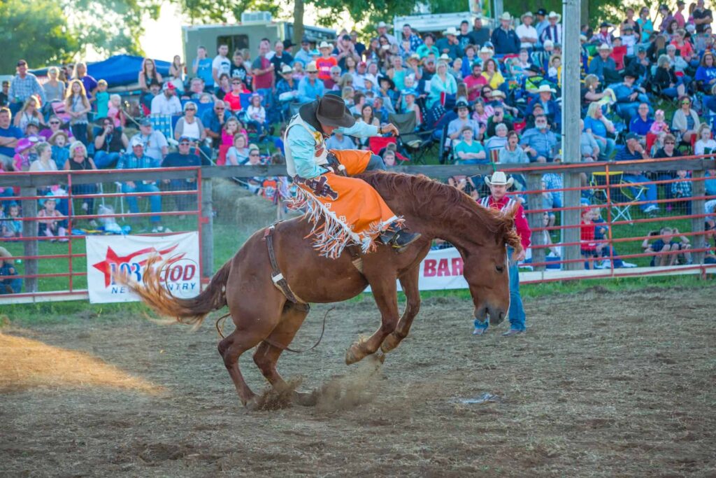 bronc riding featured image