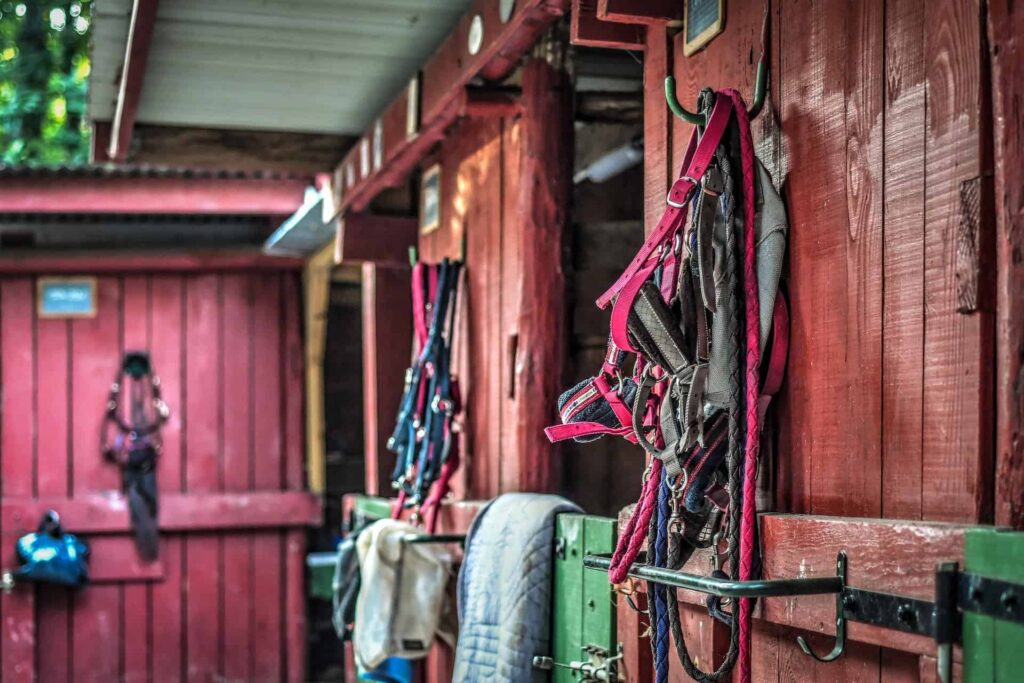 horse stall size featured image