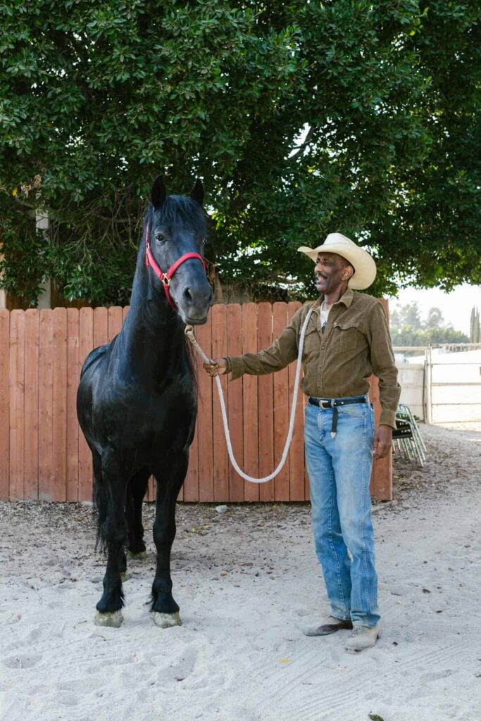 Cowboy standing beside a black horse preparing for long reining