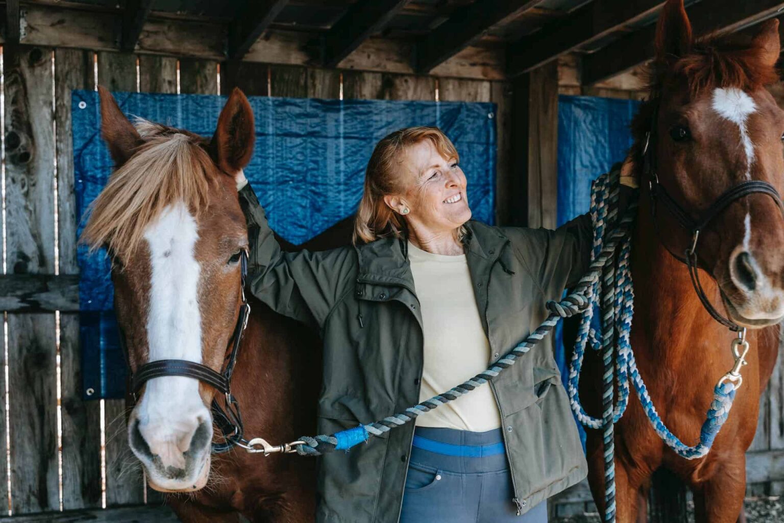 How Long Do Horses Live? Lifespan Facts and Factors All About Horses