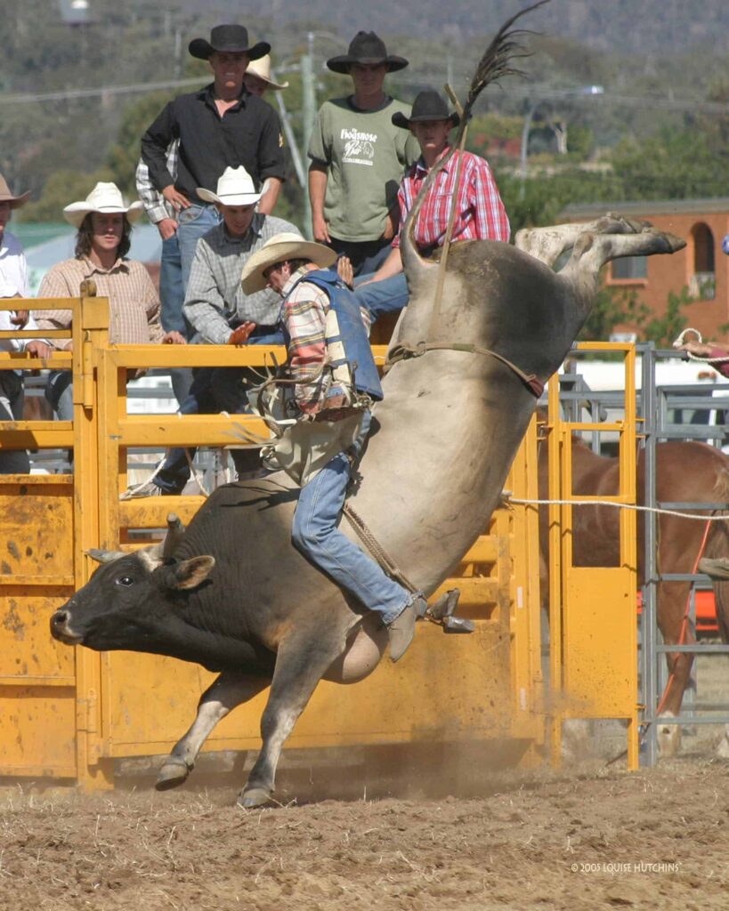Professional bull riding at rodeo event