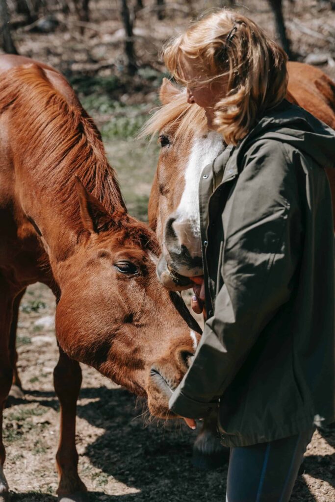 Trainer feeding salt lick to brown horse